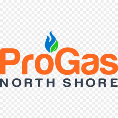 ProGas-logo-Pngsource-22CHY3VP.png