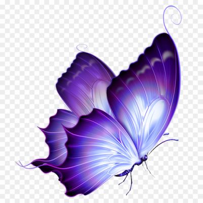 Purple-Butterfly-PNG-Transparent-File-Pngsource-3YMIISXQ.png