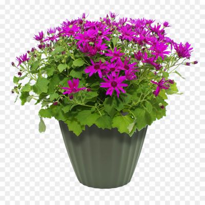 Purple-Flower-Pot-Transparent-PNG-3OR9IENT.png