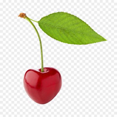 Red Cherry image PNG Transparent image PNG cherry_928.png