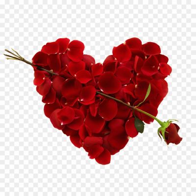 Red-Flower-Heart-PNG-File-Pngsource-JI3U2LVK.png