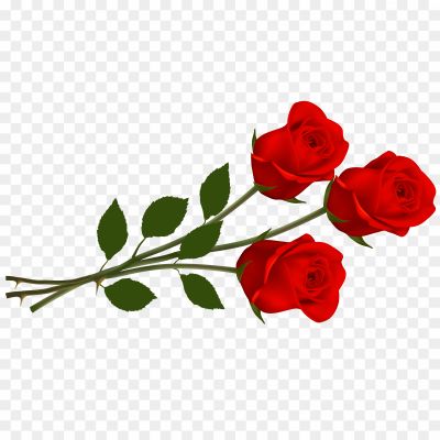 Red Rose Flower PNG File P4B82AVG - Pngsource