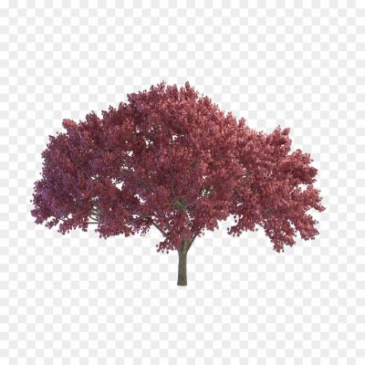 Red-Tree-Download-Free-PNG-O6NFJPMX.png