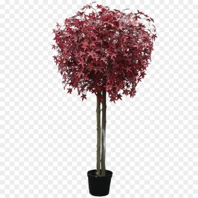 Red-Tree-Transparent-Image-KMTG94WP.png