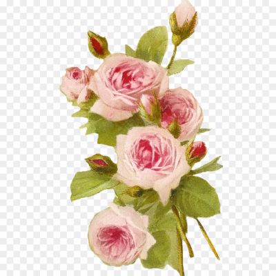 Romantic Pink Flower Border PNG Transparent - Pngsource