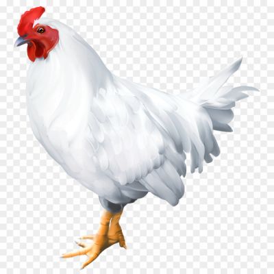 Rooster-PNG-Photo-Image.png