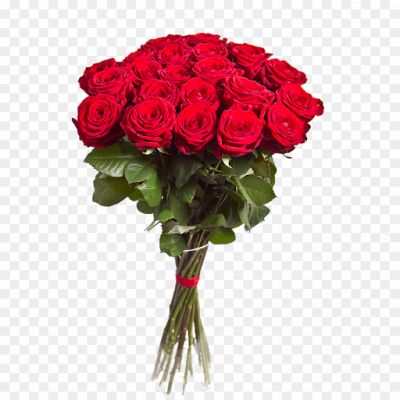 Rose-Bouquet-Bunch-PNG-Image-XLGQO806.png