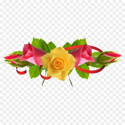 Flowerpot, Rose, Red, Pink, Fragrance, Petals, Blooming, Romance, Love, Beauty, Garden, Bouquet, Wedding, Symbol, Stem, Thorn, Blossom, Valentine's Day, Botanical, Floral arrangement