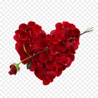 Rose-Heart-PNG-Free-Download-Pngsource-RDLZAXC4.png