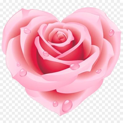 Rose-Heart-PNG-Transparent-Pngsource-5G06KUC1.png