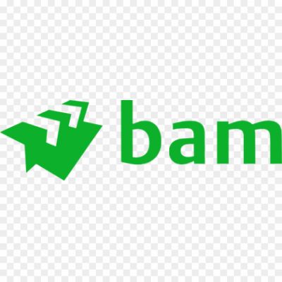 Royal-BAM-Group-logo-Pngsource-AUB4DSVP.png