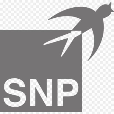 SNP-SE-Logo-Pngsource-11OKU66O.png