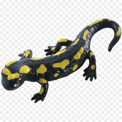Salamanders-Background-PNG-Image-YJ50AK0X.png