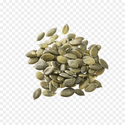 Seed-PNG-Transparent-Image-Pngsource-1L6KQD44.png