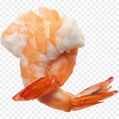 Shrimp-No-Background-KD9UXQVW.png