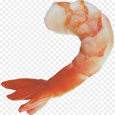 Shrimp-PNG-Photo-Image-323FQMNH.png