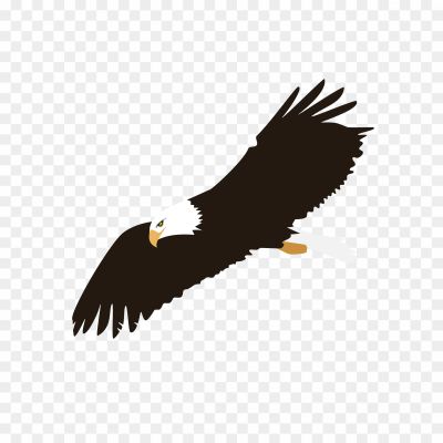 Oaring Eagle, Majestic Bird, Symbol Of Strength And Freedom, Large Wingspan, Powerful Flyer, Predatory Bird, Keen Eyesight, Sharp Talons, Graceful In Flight, Found In Various Habitats, Apex Predator, Revered In Many Cultures, National Bird In Some Countries