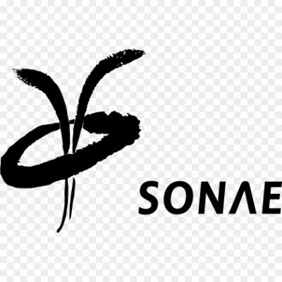 Sonae-Turismo-Logo-black-Pngsource-2LP5BZJF.png