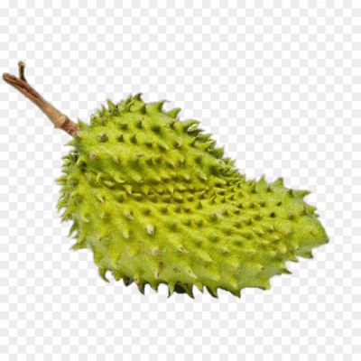 Soursop, Fruit, Green, Spiky, Tropical, Exotic, Soursop Fruit, Soursop Tree, Soursop Slice, Soursop Juice, Soursop Smoothie, Soursop Flavor, Soursop Dessert, Soursop Ice Cream, Soursop Shake, Soursop Pulp, Soursop Seeds
