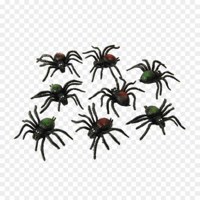 Spider-Transparent-File-Pngsource-E5XWIW9G.png