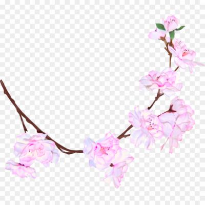 Spring-Blossom-PNG-File-I4GP5AYM.png