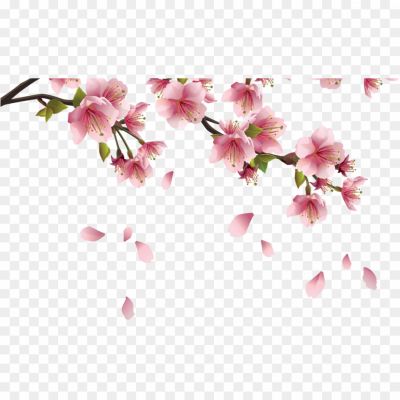 Spring-Blossom-Transparent-Background-Pngsource-OS8NNHVT.png