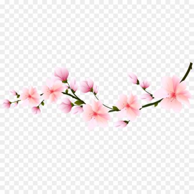 Spring-Branch-PNG-Clipart-Background-Pngsource-1MXZIX7B.png