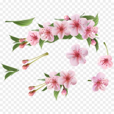 Spring-Branch-PNG-Free-File-Download-Pngsource-MO4EYXRZ.png