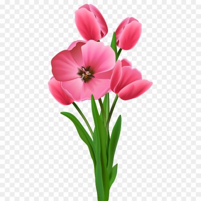 Spring-Flower-Clipart-PNG-Transparent-Image-Pngsource-A1K2D82P.png