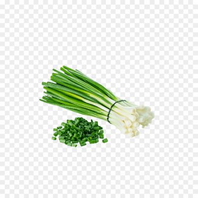 Spring-onions-PNG-HD-Isolated-YPOLUDGI.png