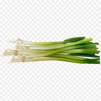 Spring-onions-PNG-HD-JMPTON62.png