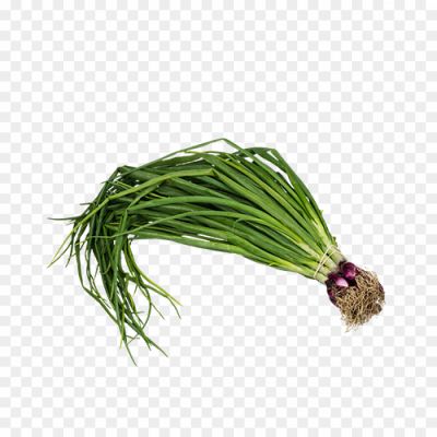 Spring-onions-PNG-Isolated-HD-5R83EP4M.png