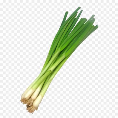 Spring-onions-PNG-Pic-FCM0GO9N.png