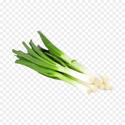 Spring-onions-PNG-Transparent-P8K1L0XE.png