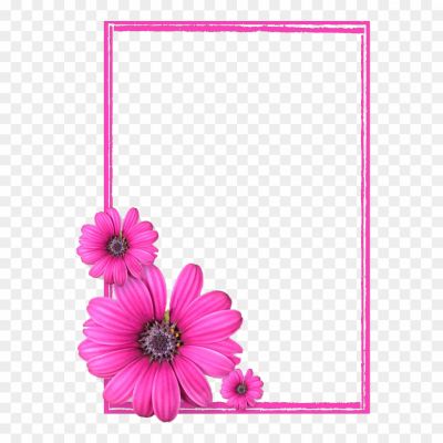 Square-Pink-Frame-Transparent-PNG-Pngsource-9JBO2AZE.png
