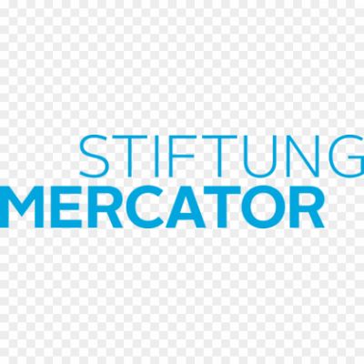 Stiftung-Mercator-Schweiz-Logo-Pngsource-SJAZ0HDE.png