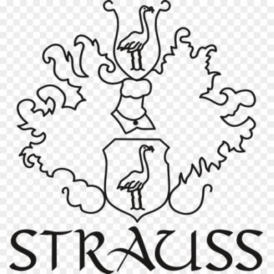 Strauss-Logo-Pngsource-Z4MODI18.png