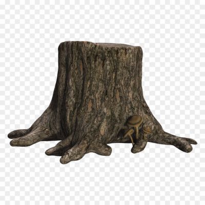 Stump-Tree-Trunk-PNG-Photos-Pngsource-NKHIADSE.png