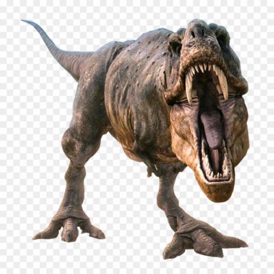 T-rex-isoalted-png-download-Pngsource-5NH01CWZ.png