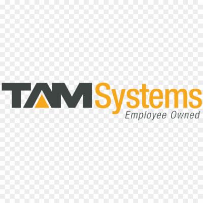 TAM-Systems-logo-Pngsource-LKE4DIQY.png