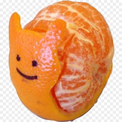 Tangerine, Citrus, Fruit, Orange, Tangy, Sweet, Mandarin, Vitamin C, Refreshing, Juicy, Peel, Segments, Citrusy, Aromatic, Healthy, Snack, Winter, Citrus Fruit, Zest, Citrus Tree.
