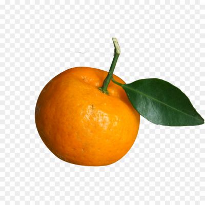 Tangerine, Citrus, Fruit, Orange, Tangy, Sweet, Mandarin, Vitamin C, Refreshing, Juicy, Peel, Segments, Citrusy, Aromatic, Healthy, Snack, Winter, Citrus Fruit, Zest, Citrus Tree.