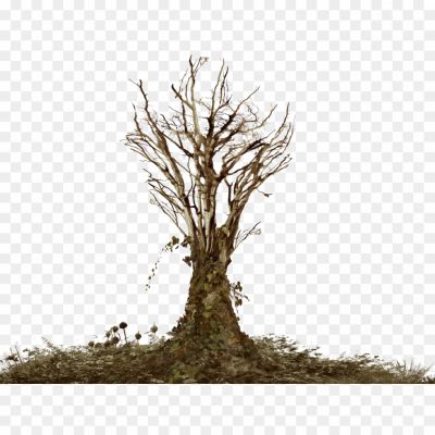 Tree-Dead-Branches-PNG-Background-A021JI55.png