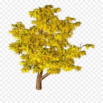 Tree-In-Autumn-Transparent-File.png