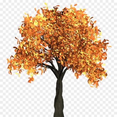 Tree-In-Autumn-Transparent-PNG.png