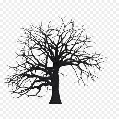 Tree-No-Leaves-Free-PNG-125WJQNV.png