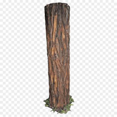 Tree-Trunk-PNG-Pic-Pngsource-MSJTPQ4C.png