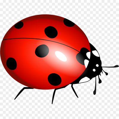 True-Bug-PNG-Clipart-Background-ND7KV12X.png