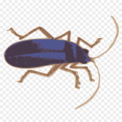 True-Bug-Vector-Transparent-Background-HT73W3BD.png