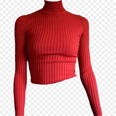 Turtle-Neck-Shirt-PNG-Isolated-HD-N5P4GTRS.png